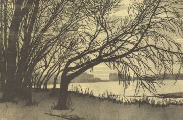 T�JK�P ERD�SSY B�LA SZ�NES LINOLEUMMETSZETE A GRAFIKAI-D�J NYERTESE