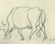 MOZGÁSTANULMÁNY KATONA NÁNDOR RAJZA