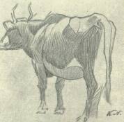 MOZGÁSTANULMÁNY KATONA NÁNDOR RAJZA