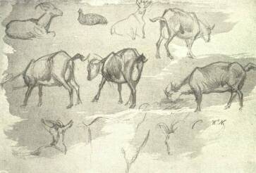 ÁLLAT-TANULMÁNY, KATONA NÁNDOR VÁZLATKÖNYVÉBŐL