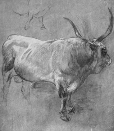 �LLATTANULM�NY B�TTNER HEL�N RAJZA