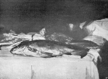 CSEND�LET PENTELEI MOLN�R J�NOS FESTM�NYE