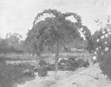 R�ZSAFA OLGYAI FERENC FESTM�NYE