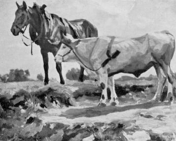 �K�R �S L� - TANULM�NY L�SCHINGER HUG� FESTM�NYE