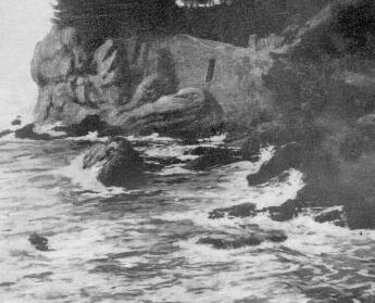 SZIRTEK N�DLER R�BERT FESTM�NYE