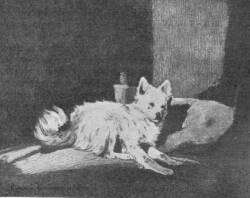 MAGYAR K�PZ�M�V�SZN�K A NEMZETI SZALONBAN KUTYA RAINERN� ISTV�NFFY GABRIELLA RAJZA