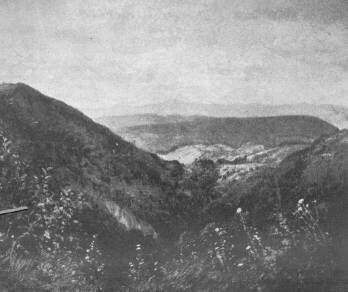 A M�CSARNOK TAVASZI T�RLAT�B�L VISEGR�DI HEGYEK K�ZT UJV�RY IGN�C FESTM�NYE