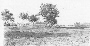 TÁJKÉP JUHÁSZ ÁRPÁD RAJZA