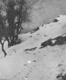 RÉSZLET A HEGY TÖVÉBEN K. SPÁNYI BÉLA FESTMÉNYE