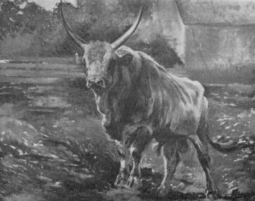 B�TTNER HEL�N FESTM�NYE TANULM�NY