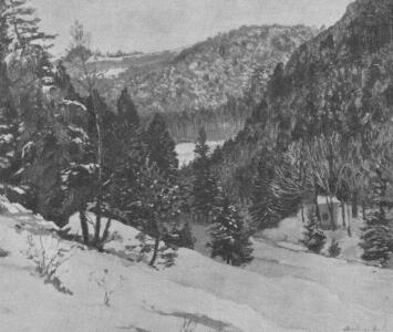 FENYVES V�LGY SZL�NYI LAJOS FESTM�NYE