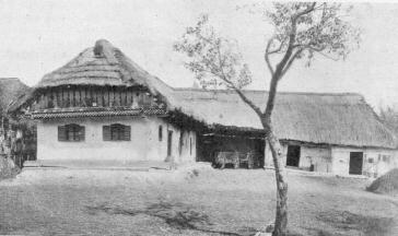 PARASZTUDVAR BARAB�SSZEG (G�CSEJ)