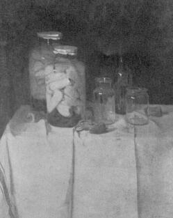 PAPRIKA PENTELEI MOLN�R J�NOS FESTM�NYE AZ �LLAMI NAGY ARANY�REM NYERTESE